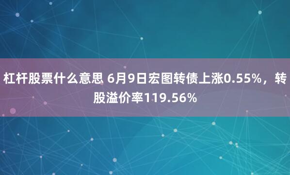 杠杆股票什么意思 6月9日宏图转债上涨0.55%，转股溢价率119.56%