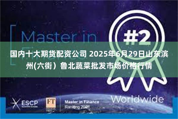 国内十大期货配资公司 2025年6月29日山东滨州(六街)鲁北蔬菜批发市场价格行情