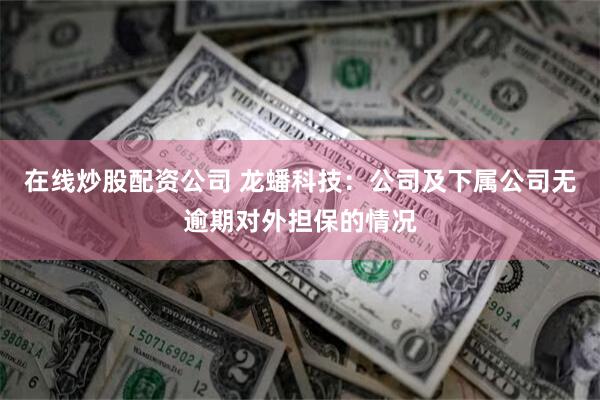 在线炒股配资公司 龙蟠科技：公司及下属公司无逾期对外担保的情况