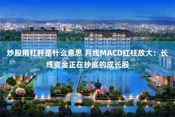 炒股用杠杆是什么意思 月线MACD红柱放大：长线资金正在抄底的成长股