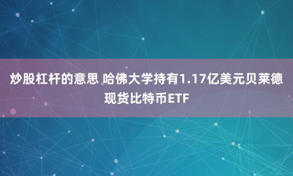 炒股杠杆的意思 哈佛大学持有1.17亿美元贝莱德现货比特币ETF
