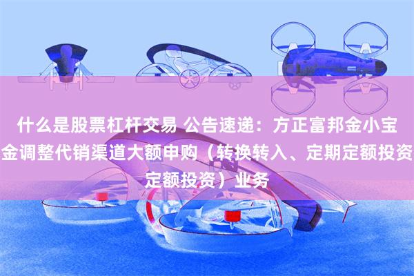 什么是股票杠杆交易 公告速递：方正富邦金小宝货币基金调整代销渠道大额申购（转换转入、定期定额投资）业务