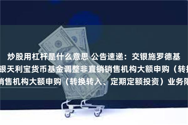 炒股用杠杆是什么意思 公告速递：交银施罗德基金管理有限公司关于交银天利宝货币基金调整非直销销售机构大额申购（转换转入、定期定额投资）业务限额