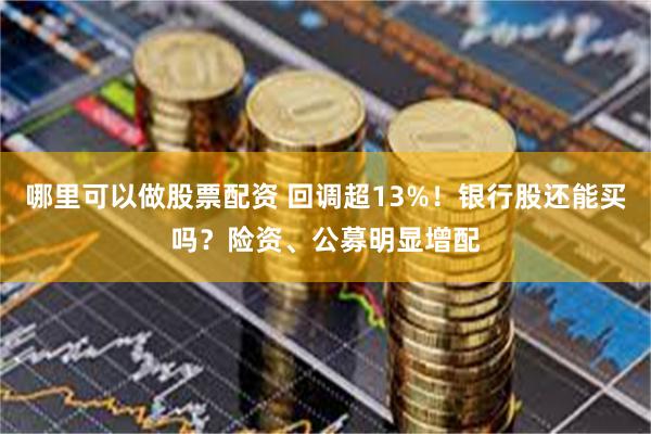 哪里可以做股票配资 回调超13%!银行股还能买吗?险资、公募明显增配