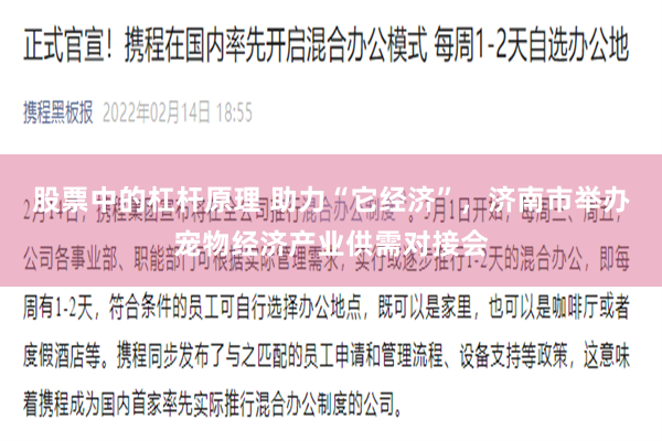 股票中的杠杆原理 助力“它经济”,济南市举办宠物经济产业供需对接会