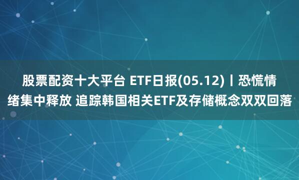 股票配资十大平台 ETF日报(05.12)丨恐慌情绪集中释放 追踪韩国相关ETF及存储概念双双回落
